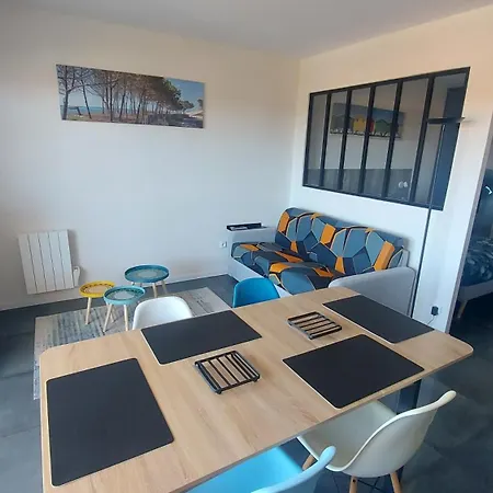 - Grand 3 Etoiles - 1 A 4 Pers - Confort - 6 Mn A Pieds De La * Mimizan-Plage